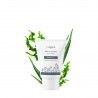 Organic aloe vera cornflower moisturizing men face cream | Clairjoie