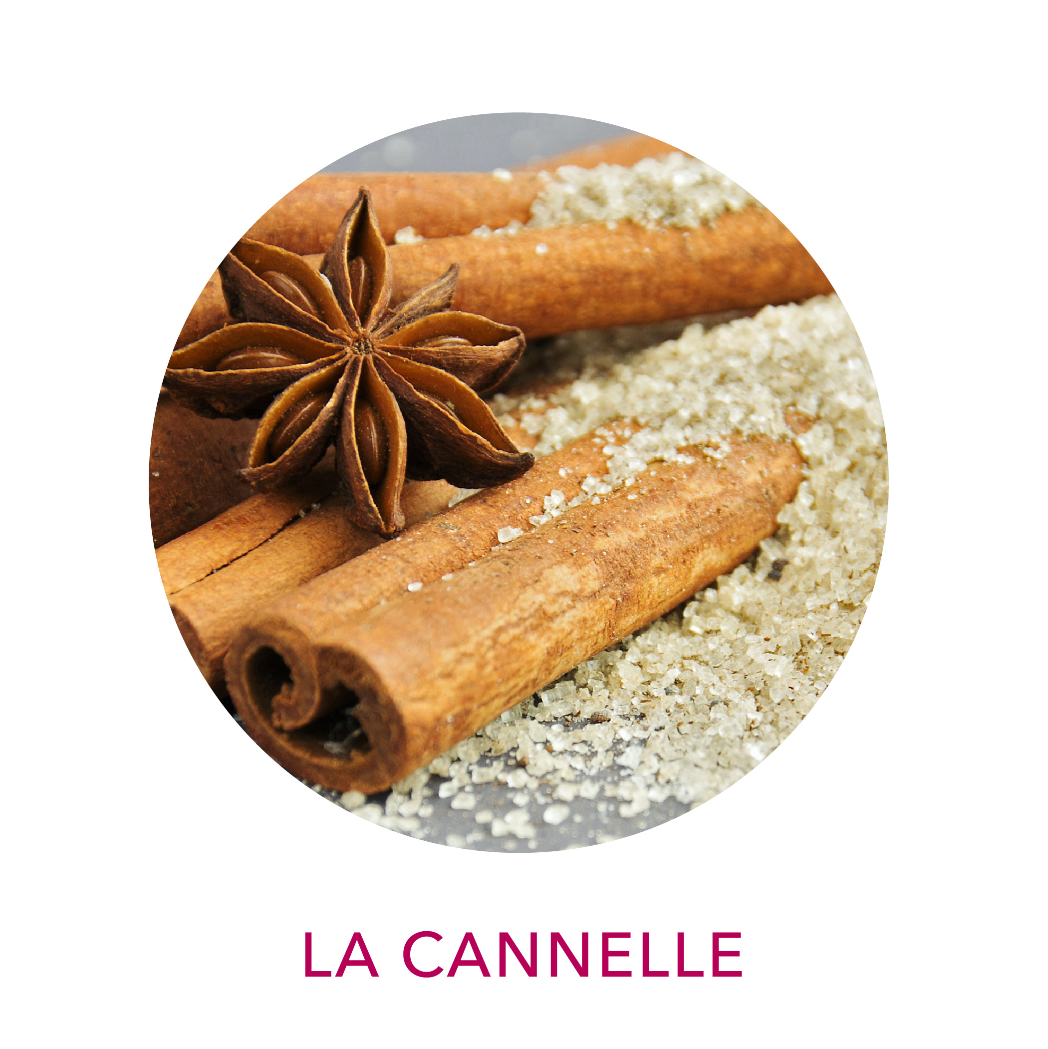 Actif huile essentielle bio de Cannelle