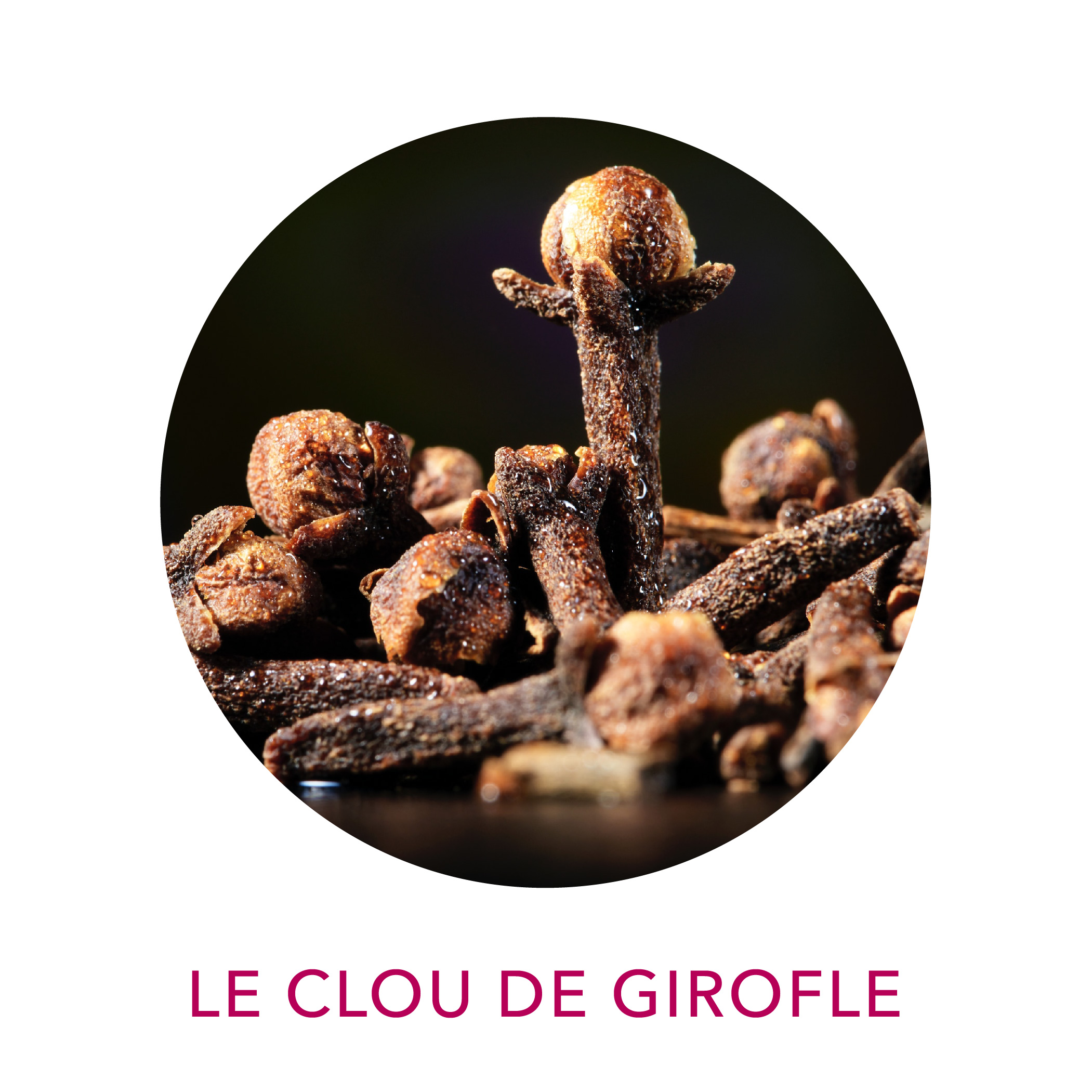 Actif huile essentielle bio de Clou de girofle