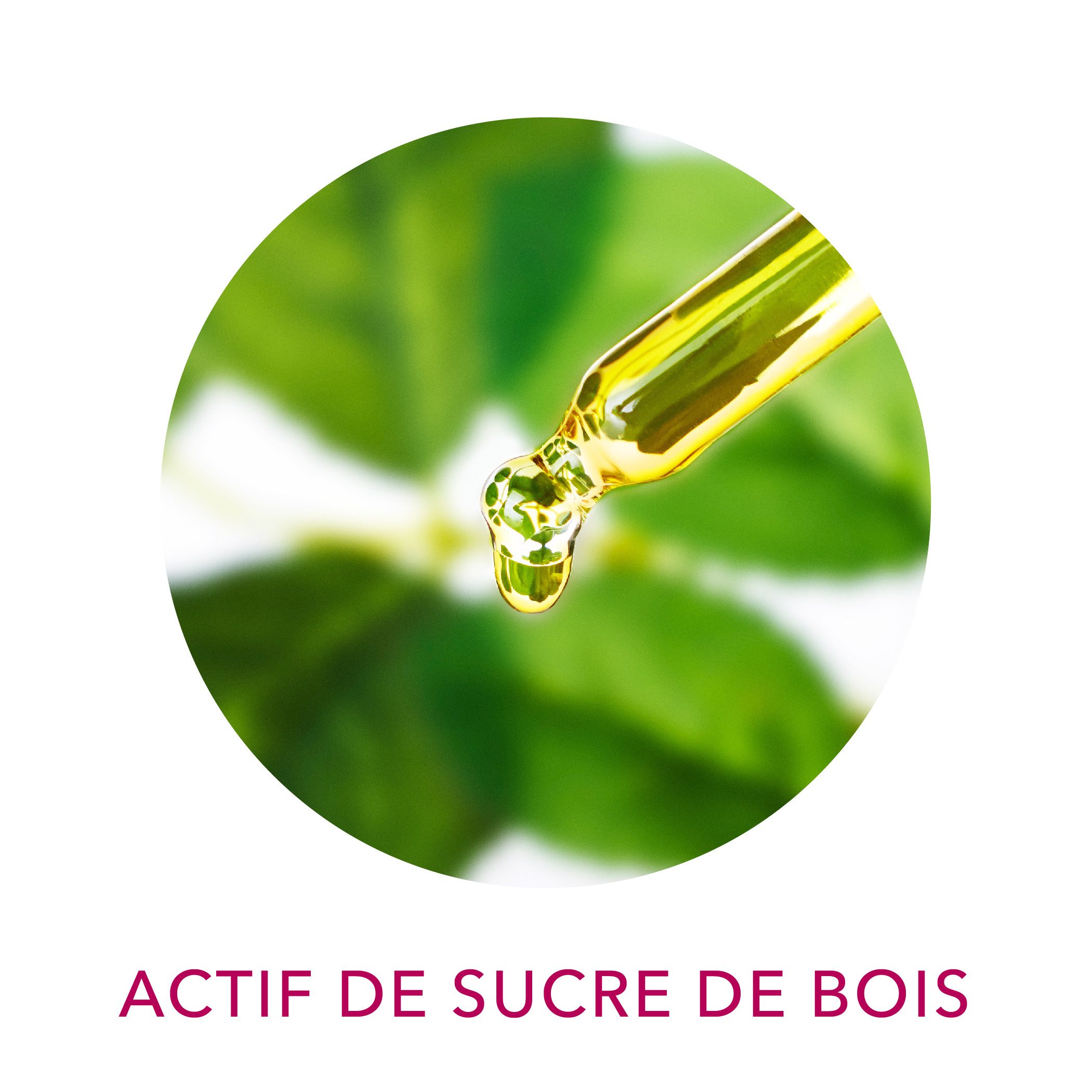 Actif cosmétique Clairjoie Actif du sucre de bois