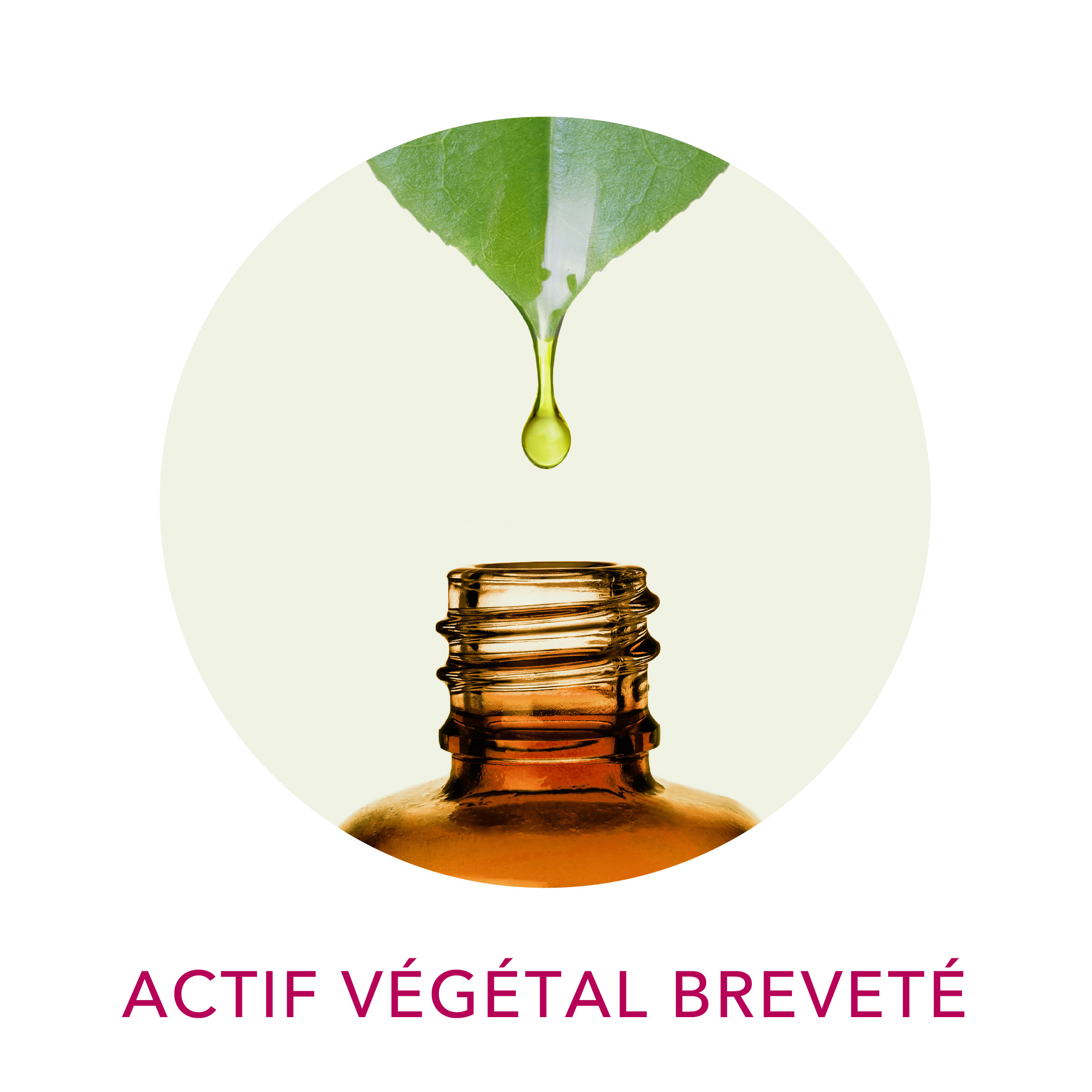 Actif vegetal brevete