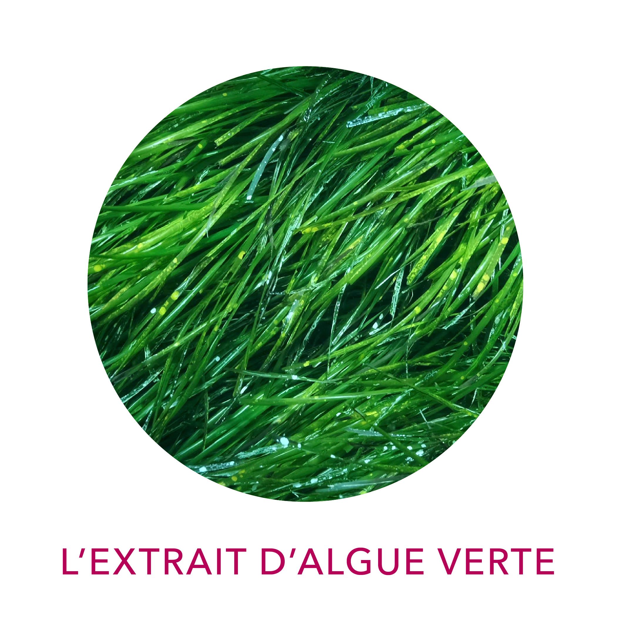 Actif Clairjoie Algue verte