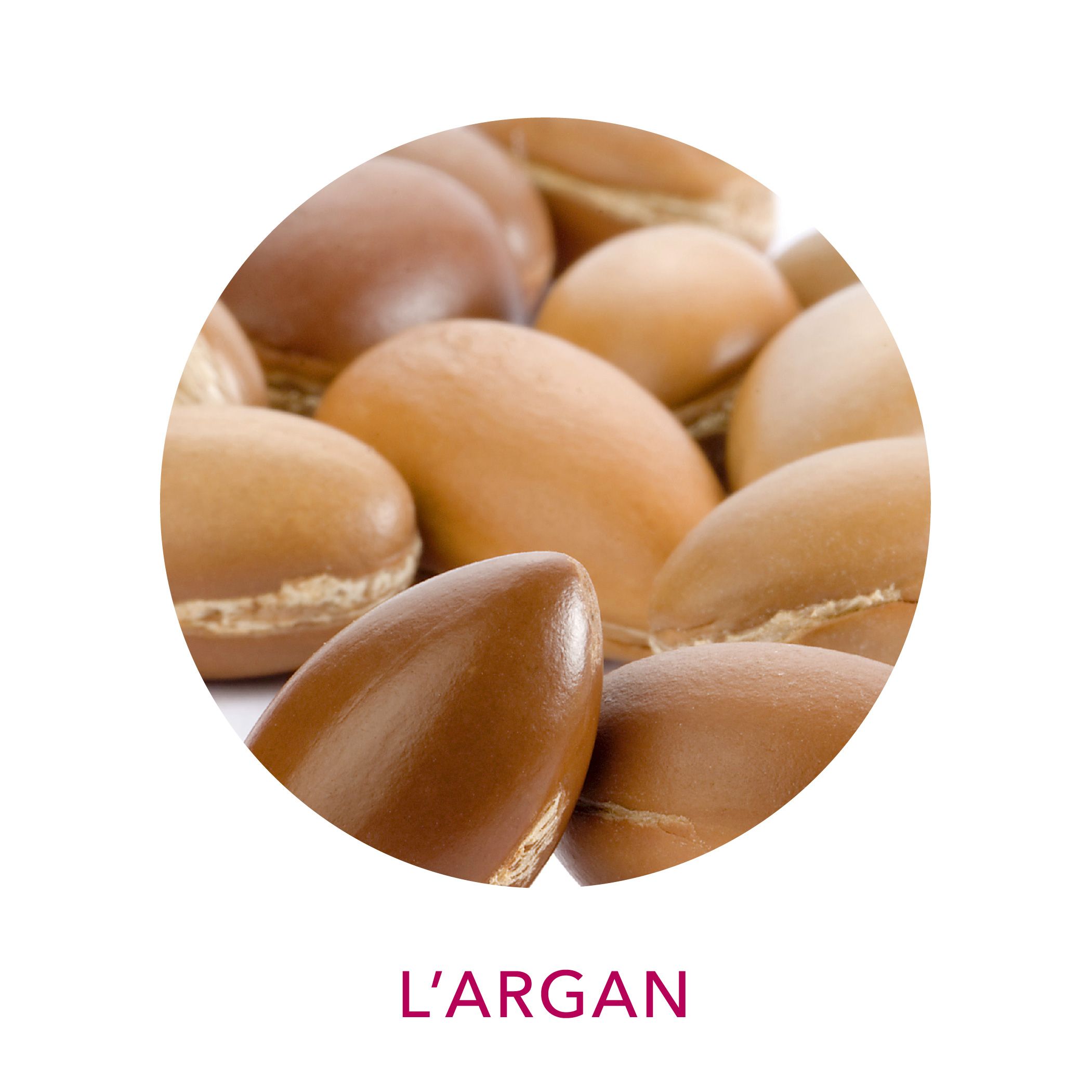 Huile d’argan biologique