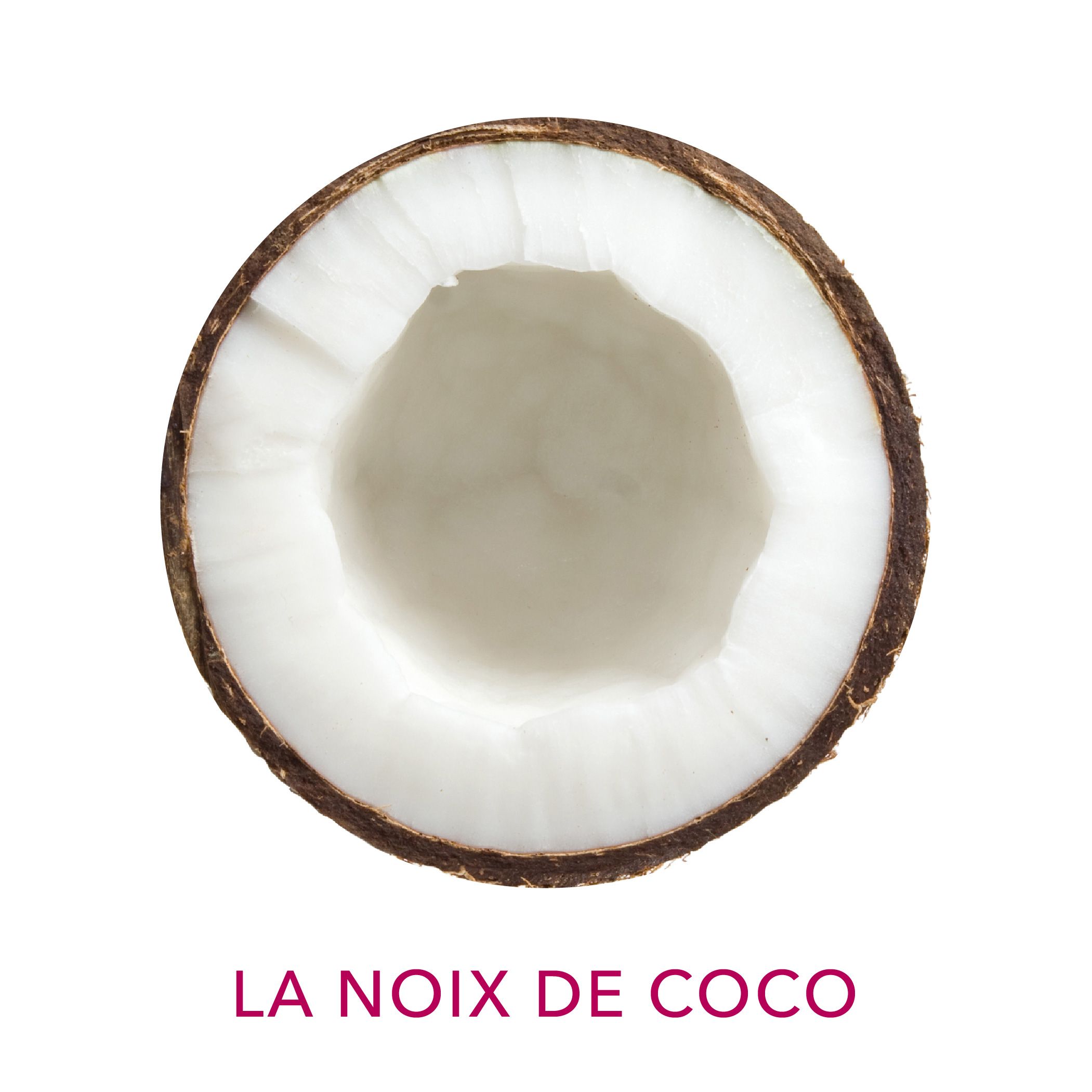 Huile de coco biologique