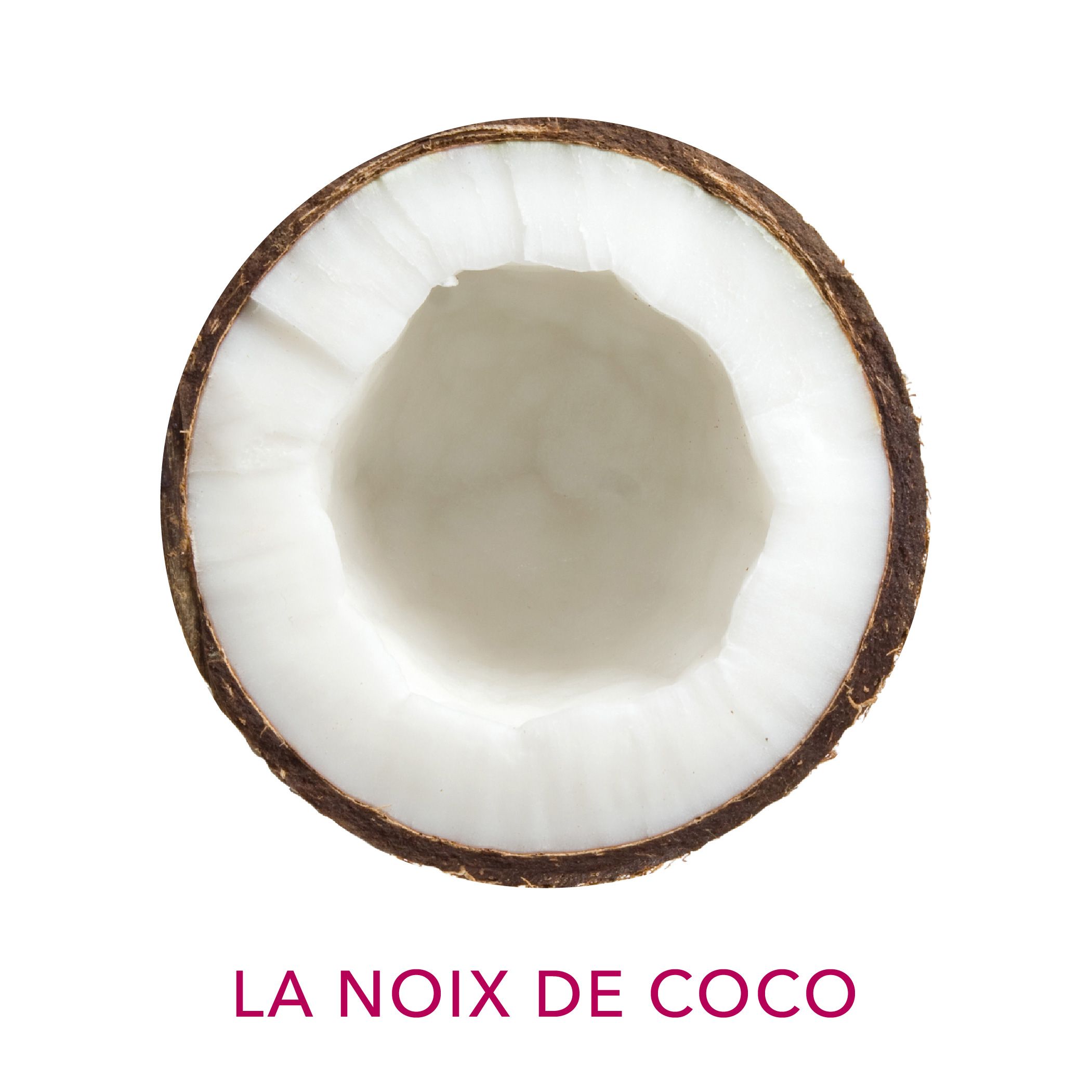 Pulpe de coco