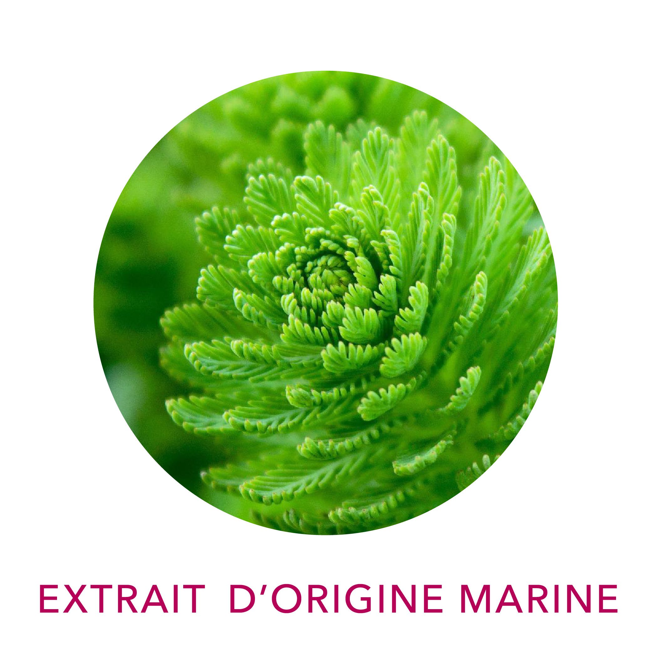 Extrait d’origine marine - actif objectivé