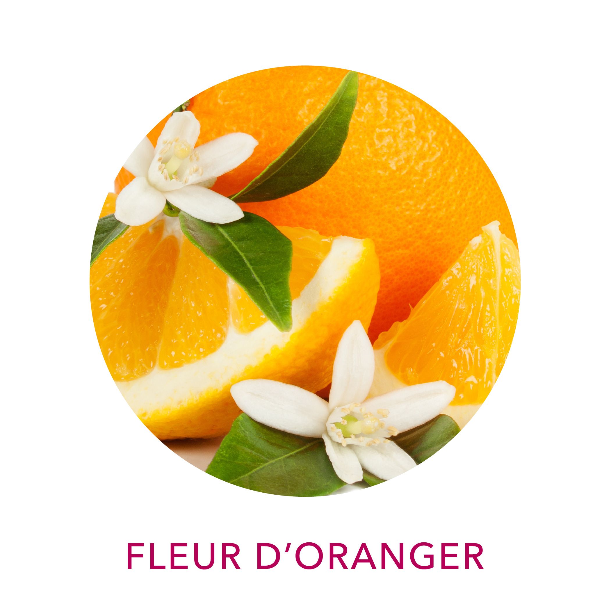 Eau fleur d’oranger biologique