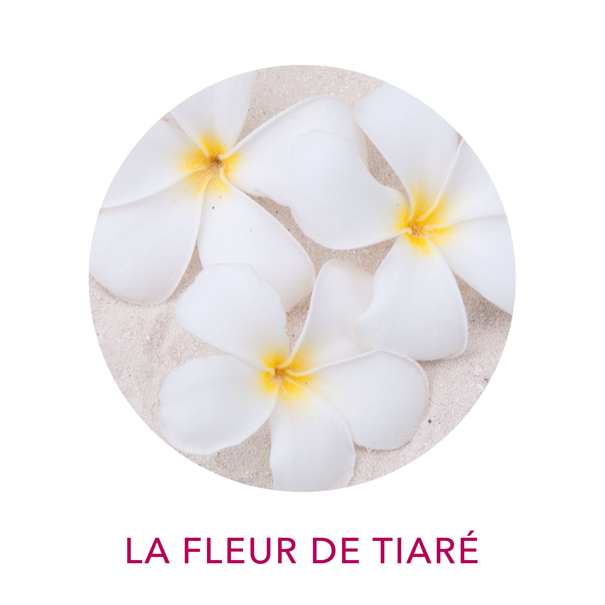 Actif cosmétique Clairjoie fleur de tiaré