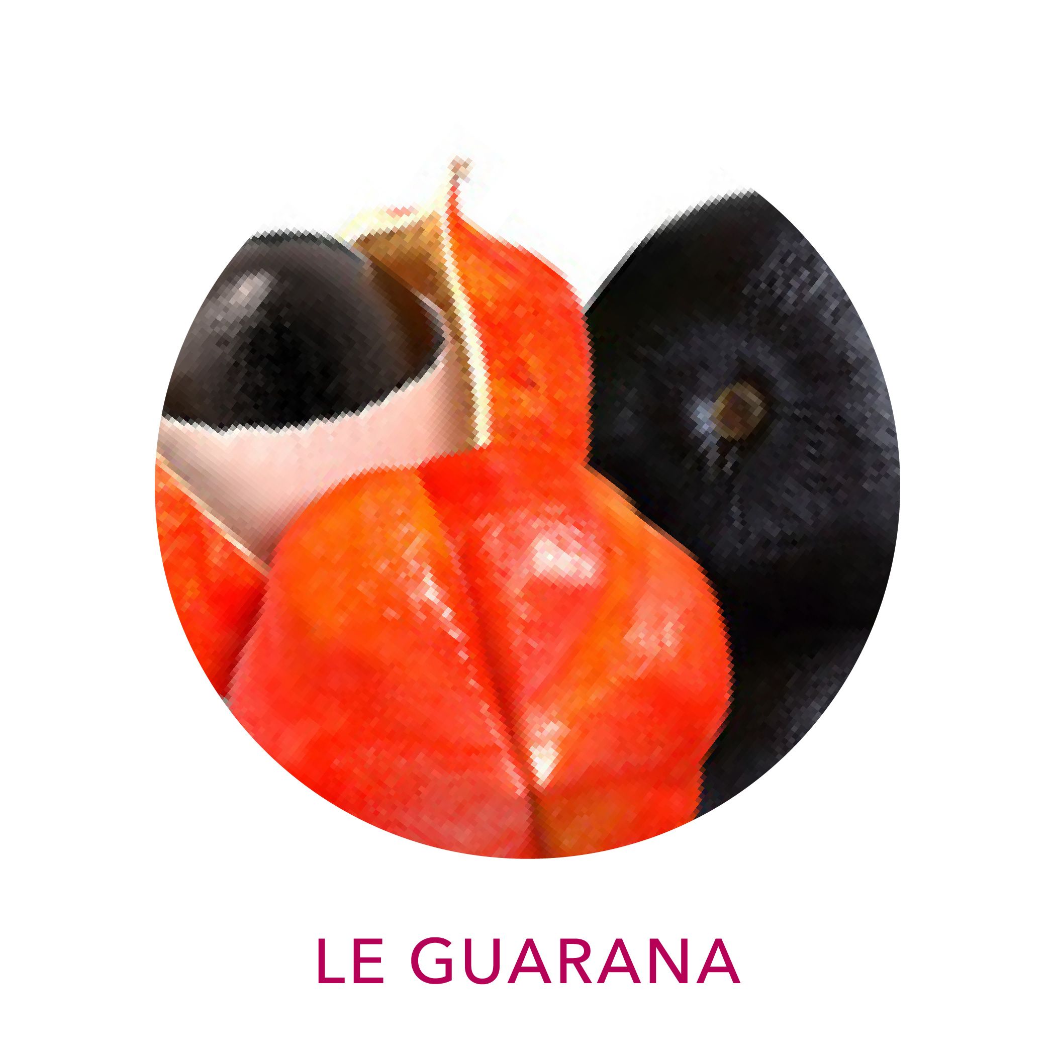 Extrait de guarana biologique