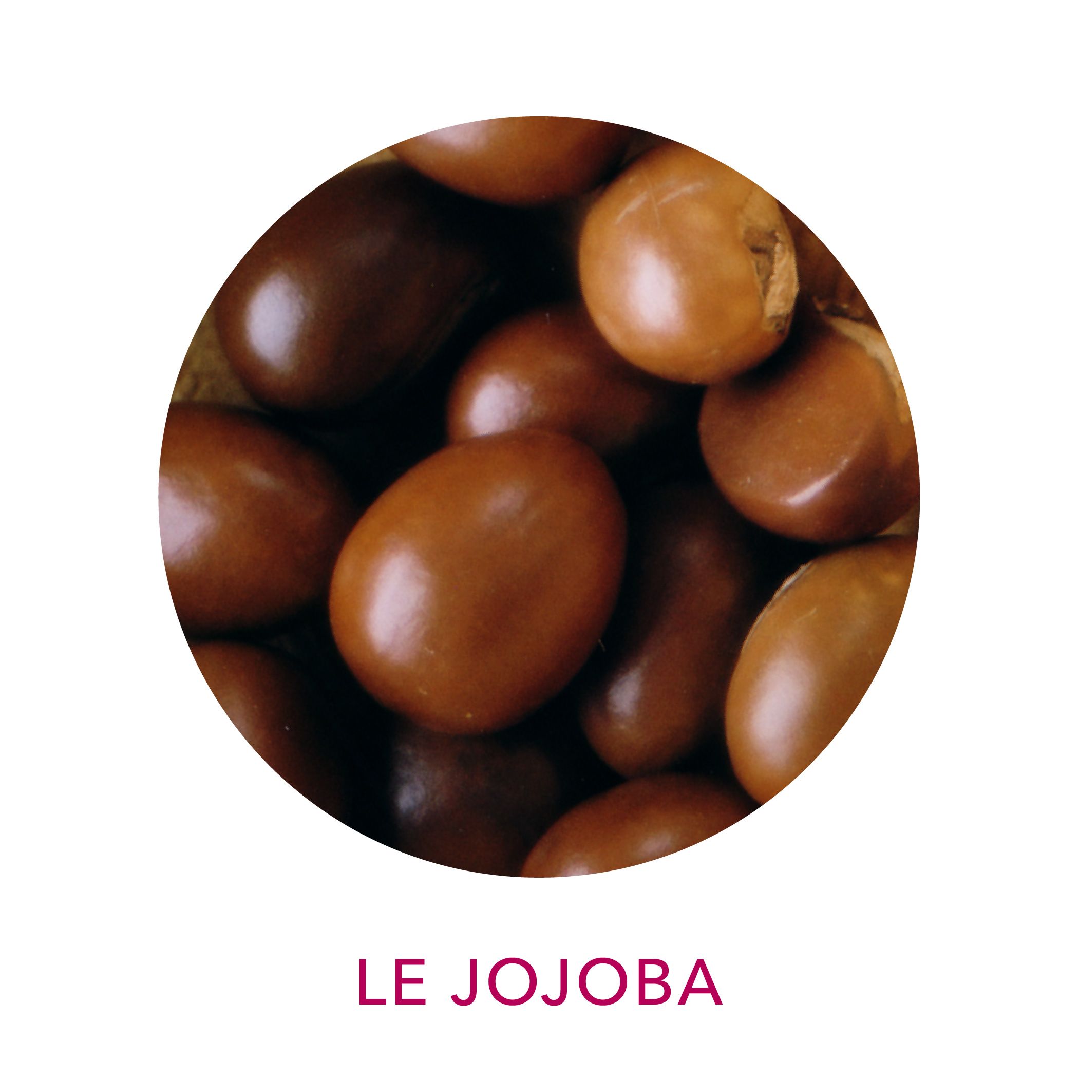 Actif cosmétique Clairjoie jojoba