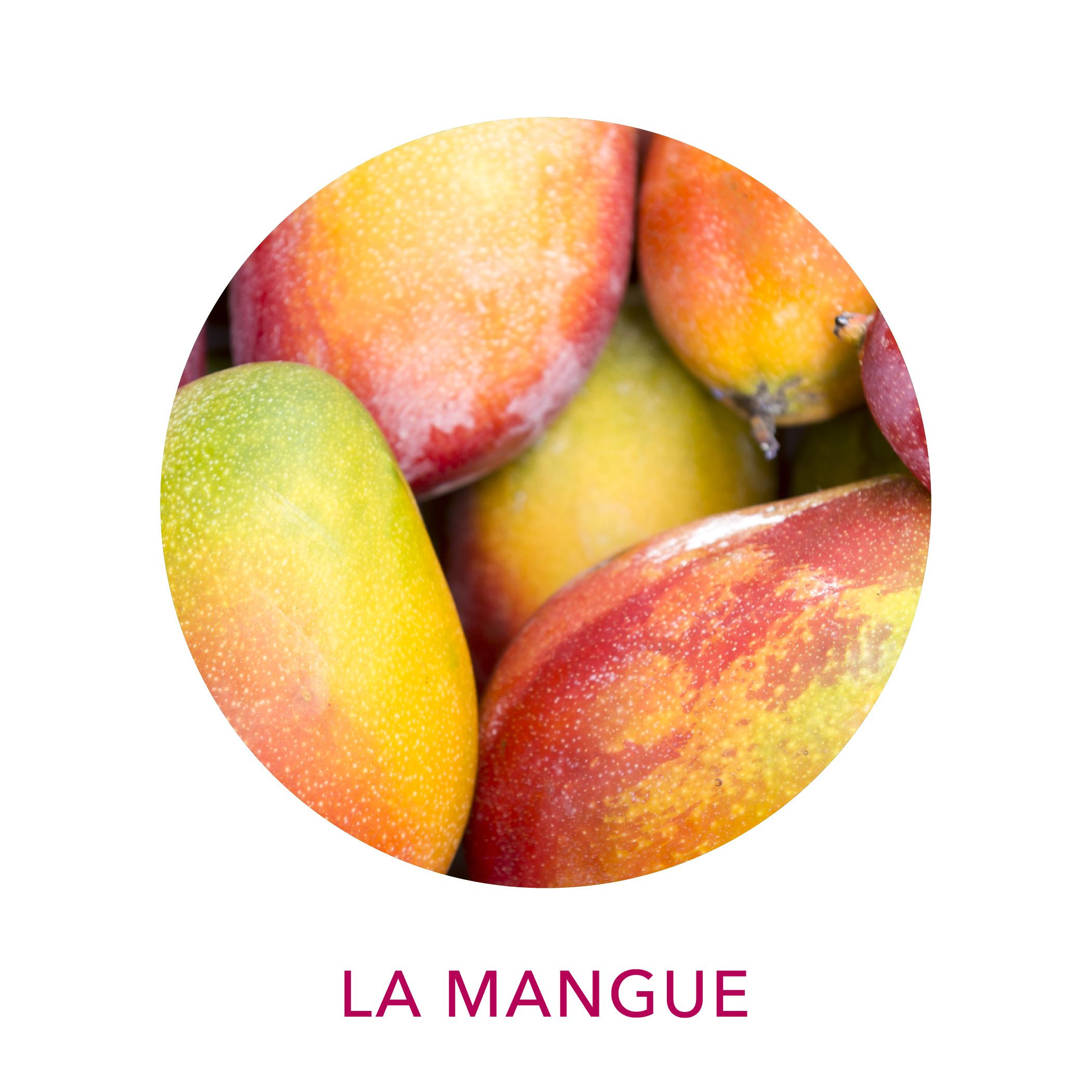 Actif Clairjoie la mangue