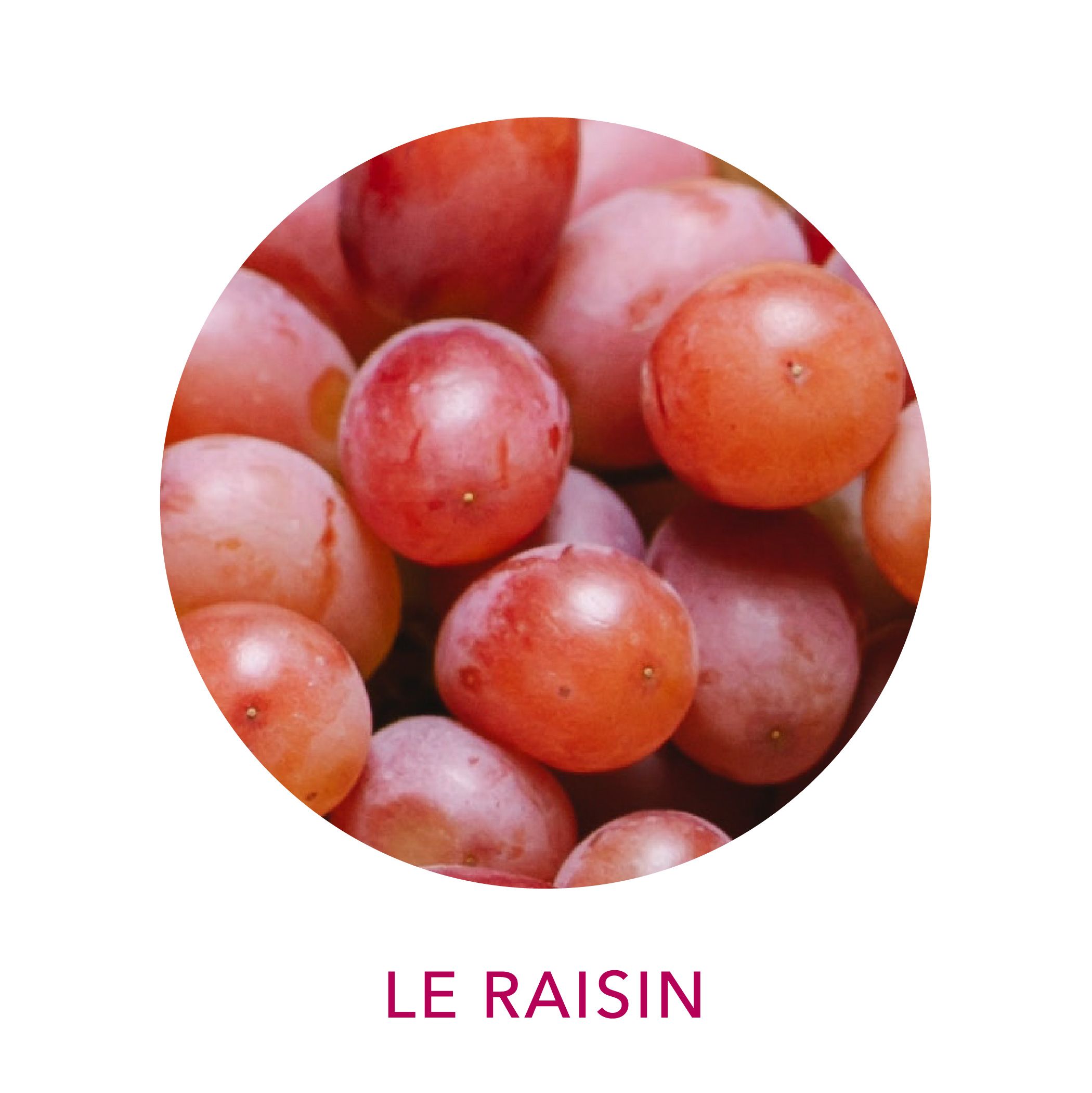 Huile de pépin de raisins biologique