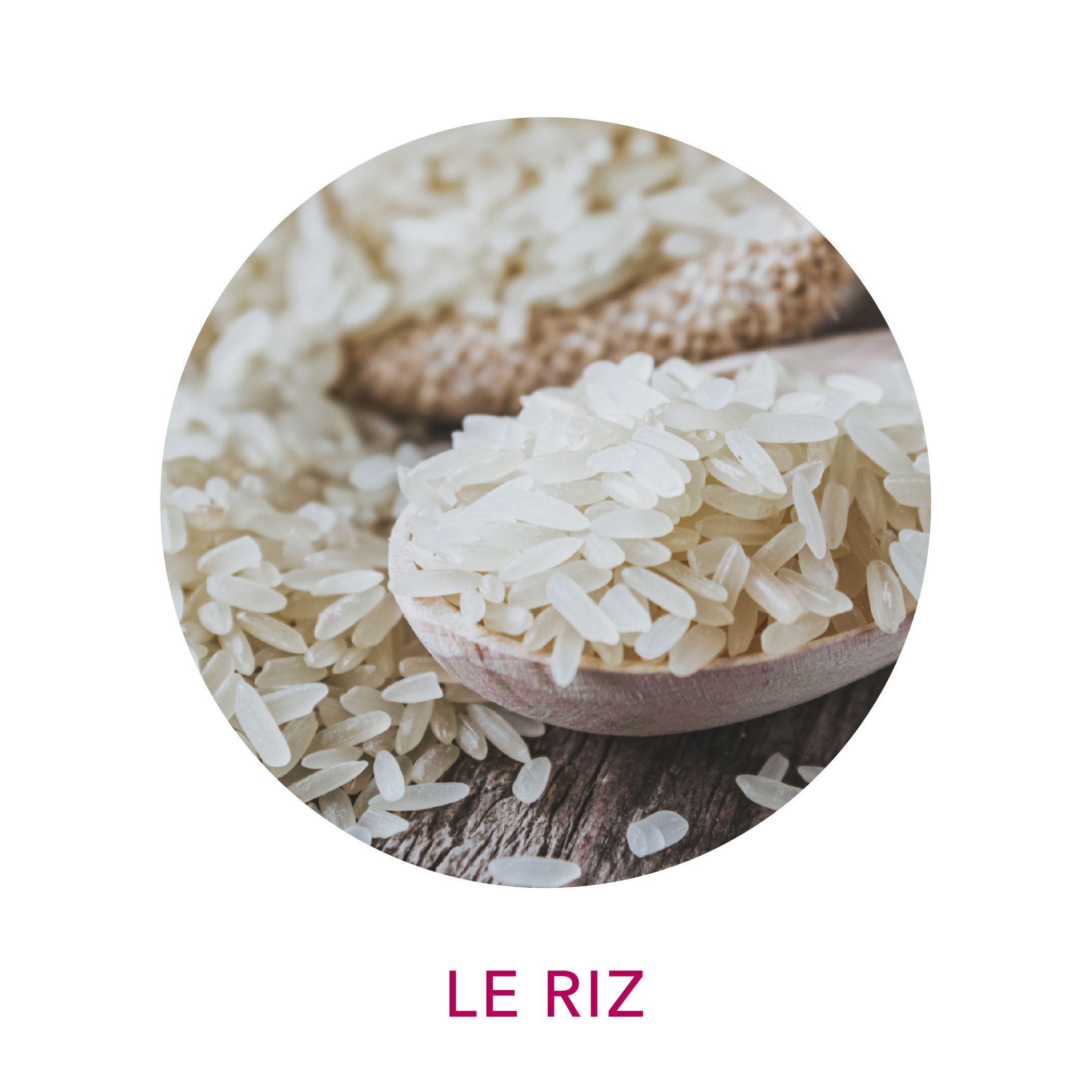 Extrait de riz blanc biologique