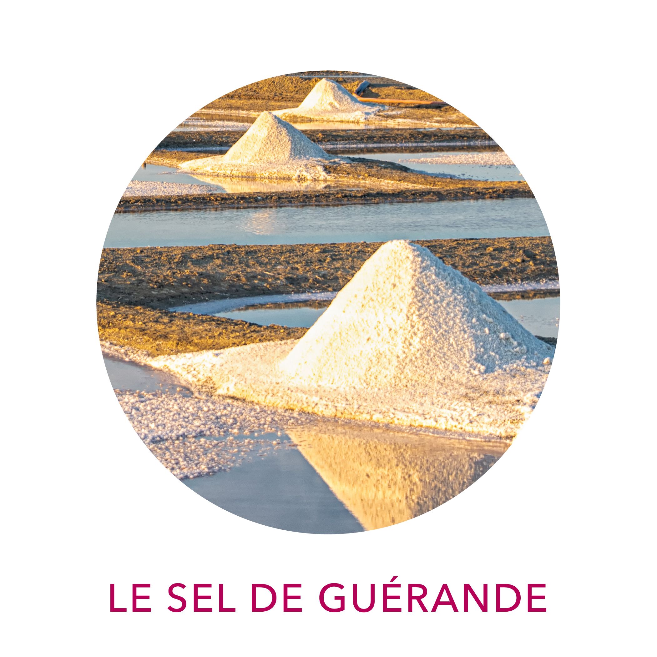 Actif cosmétique sel de Guérande