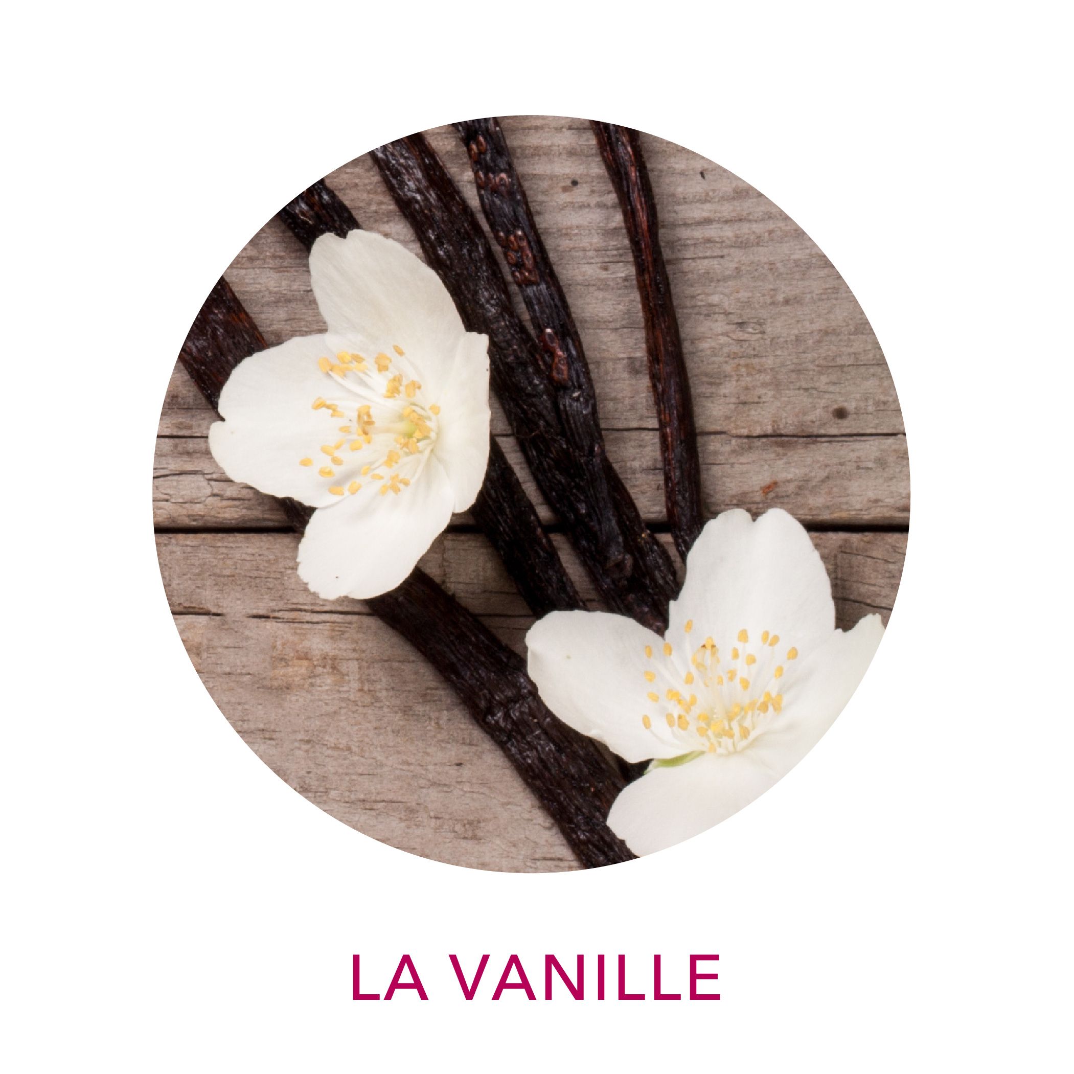 Parfum gourmand de vanille