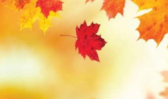10 raisons d'aimer l'automne